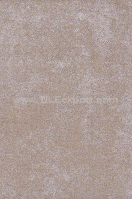 Floor_Tile--Porcelain_Tile,300X450mm[Wall_and_Floor],34506_1